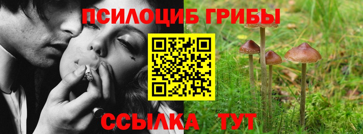 Псилоцибиновые грибы прущие грибы  Вход с VPN  Миллерово 