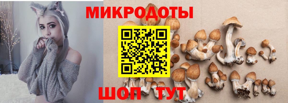 Галлюциногенные грибы GOLDEN TEACHER Миллерово