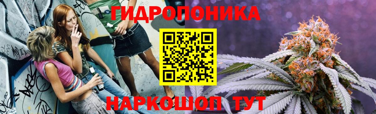 Конопля конопля  Шишки марихуана VHQ  Миллерово  Вход с VPN  Бошки марихуана OG Kush 